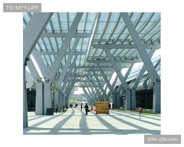 全球化视野下本土赛事版权运营借鉴国际经验与标准。